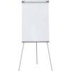 Флипчарт CACTUS CS-FCT-W67x105